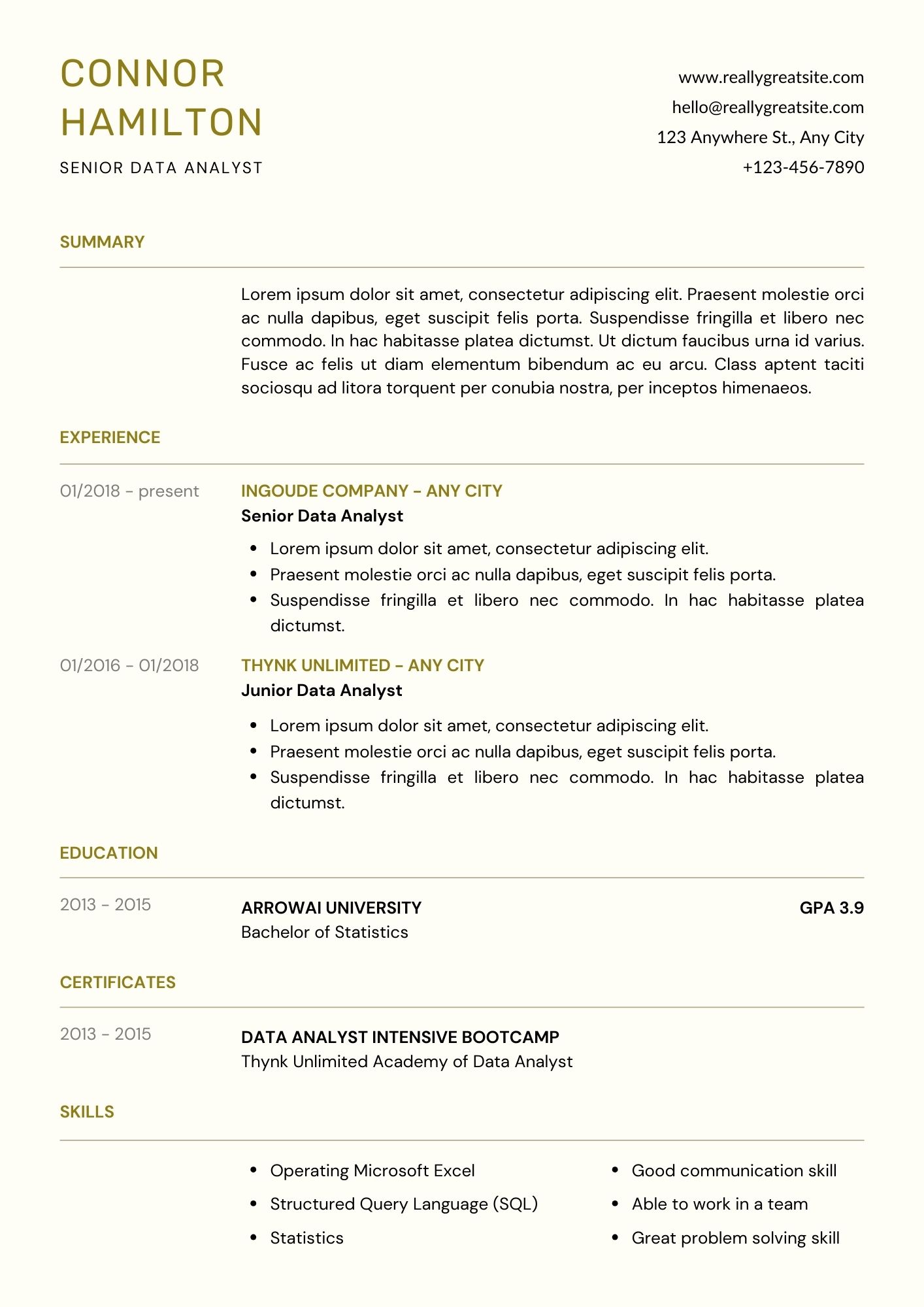 SENIOR Data Analyst CV Template