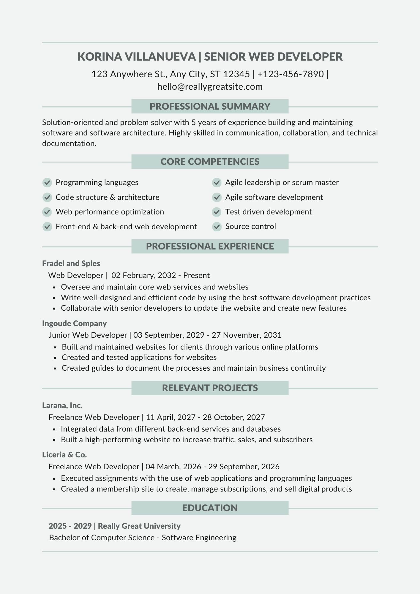 senior WEB DEVELOPER CV Template